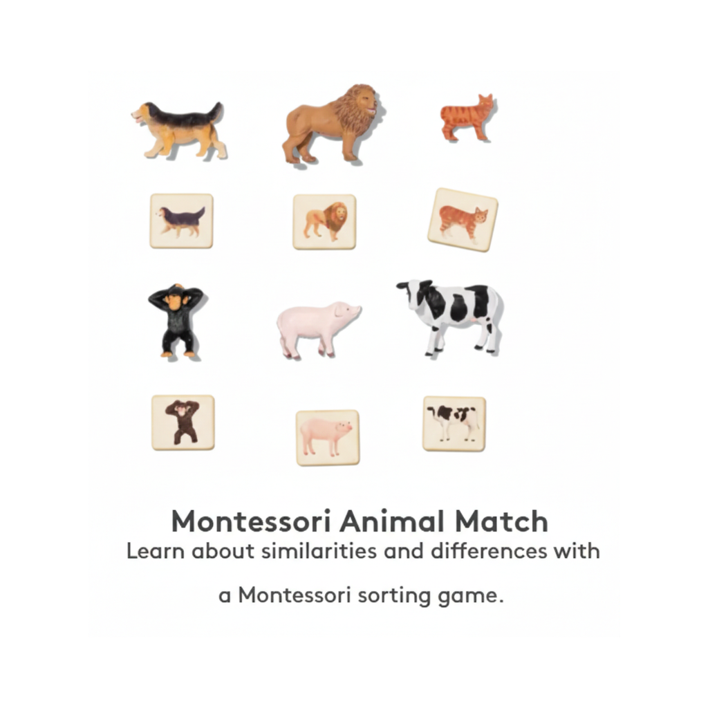 The Inventor ( 8 games )