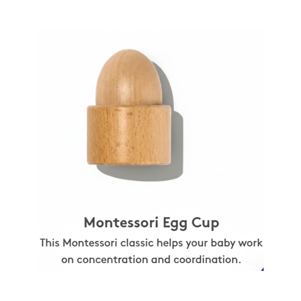 The Seeker ( 8 games )